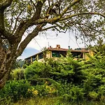Alojamento de Acomodação e Pequeno-almoço Casa Matilde Mommio