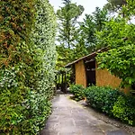 Casa Matilde Alojamento de Acomodação e Pequeno-almoço 4*
