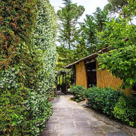 Casa Matilde Nocleg ze śniadaniem 4*