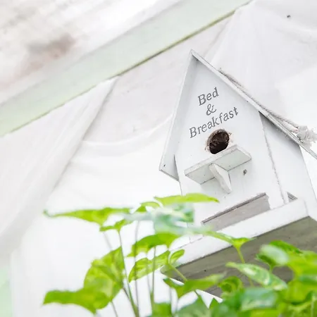 Alojamento de Acomodação e Pequeno-almoço Casa Matilde