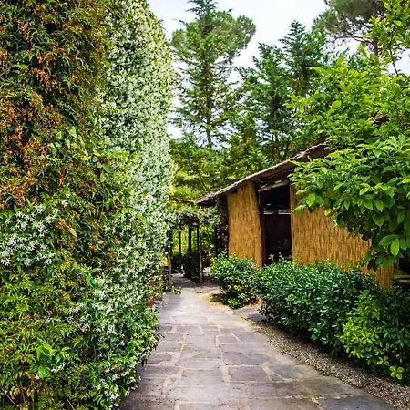 Casa Matilde