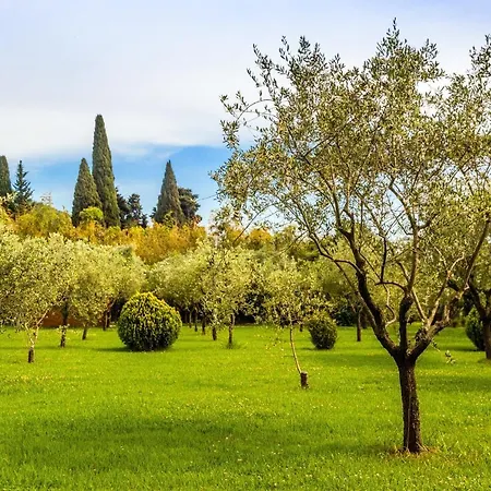 Alojamento de Acomodação e Pequeno-almoço Casa Matilde