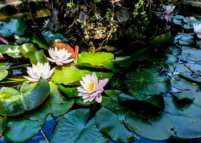 Bed and breakfast Casa Matilde 4*