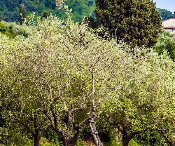 Casa Matilde